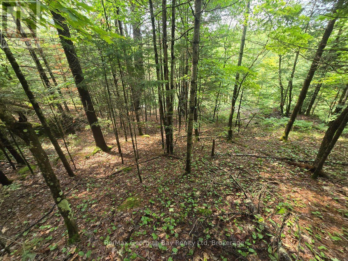 107 Balsam Chutes Road, Huntsville, Ontario  P0B 1L0 - Photo 28 - X13617186