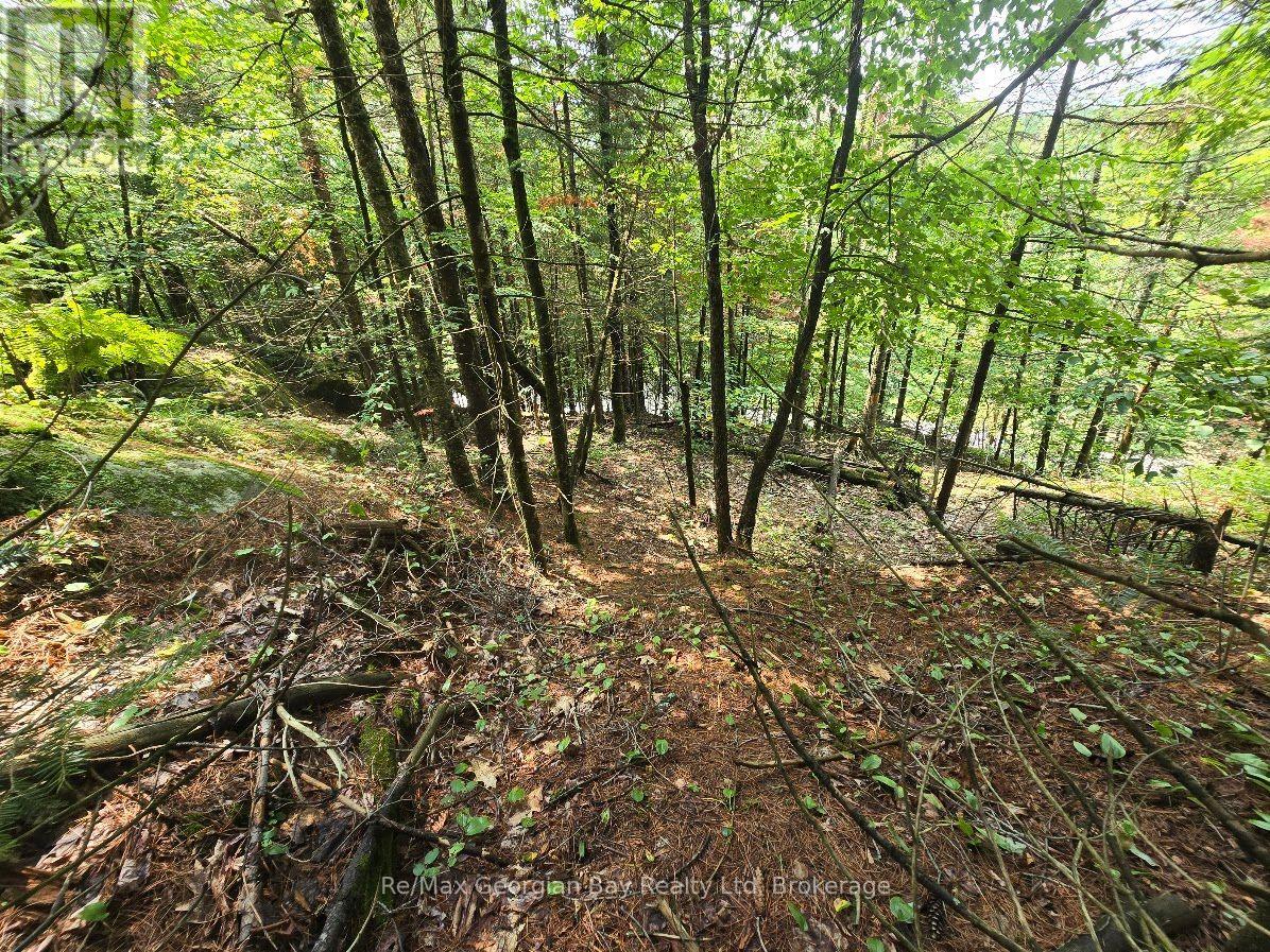 107 Balsam Chutes Road, Huntsville, Ontario  P0B 1L0 - Photo 29 - X13617186