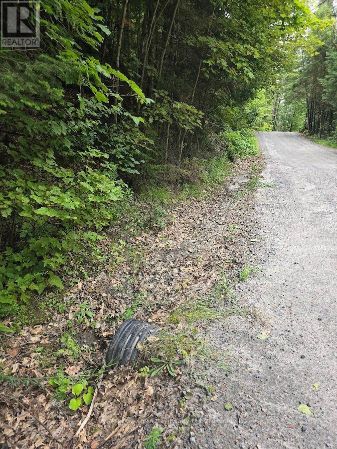 107 Balsam Chutes Road, Huntsville, Ontario  P0B 1L0 - Photo 31 - X13617186
