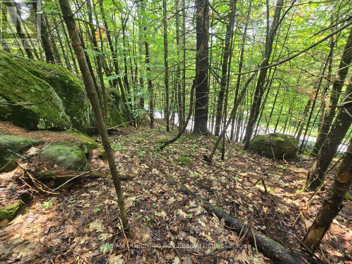 107 Balsam Chutes Road, Huntsville, Ontario  P0B 1L0 - Photo 4 - X13617186
