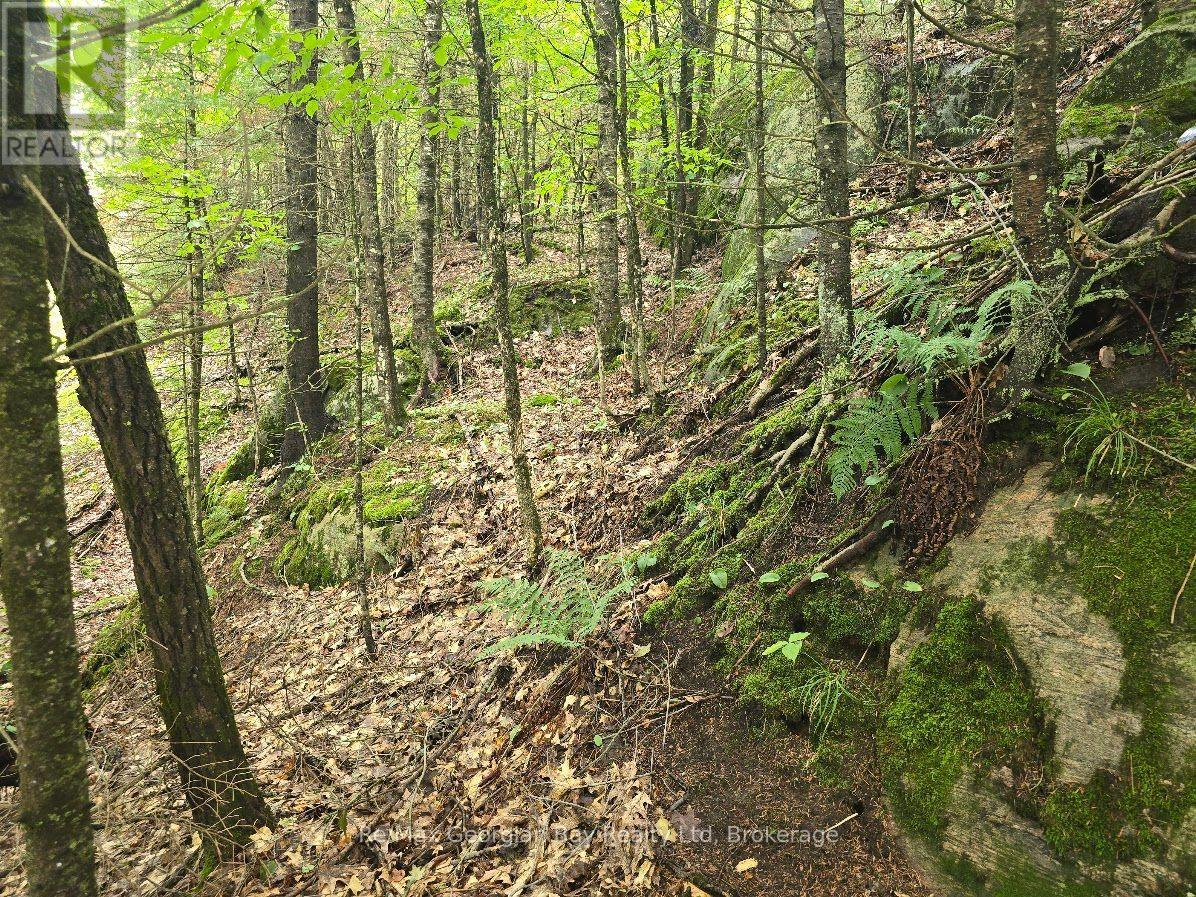 107 Balsam Chutes Road, Huntsville, Ontario  P0B 1L0 - Photo 5 - X13617186