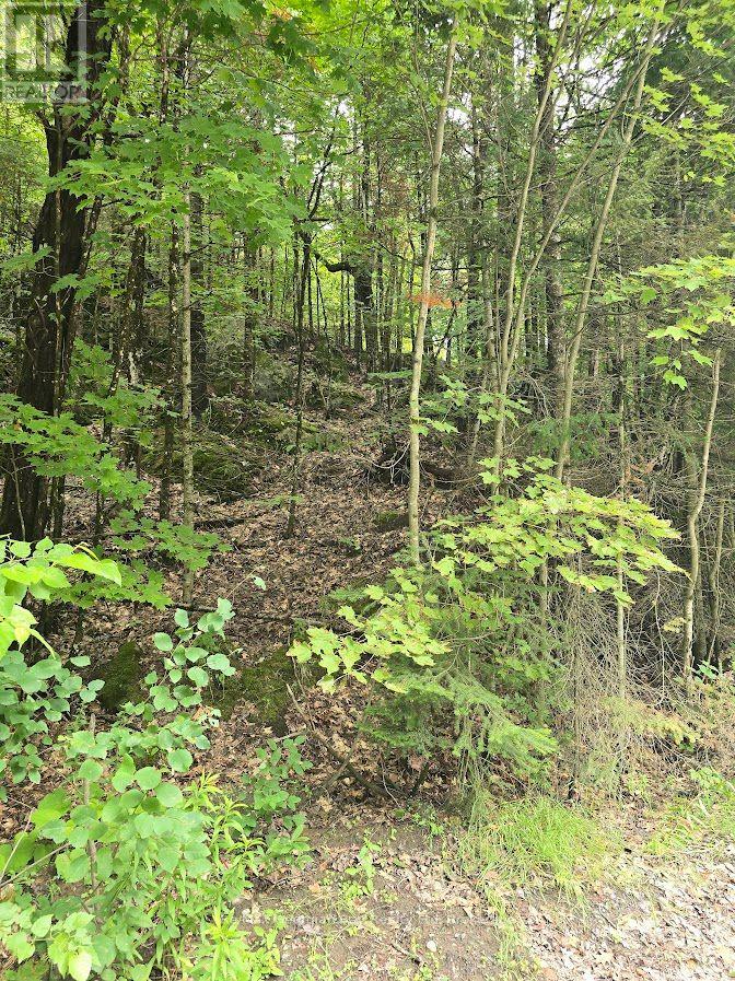 107 Balsam Chutes Road, Huntsville, Ontario  P0B 1L0 - Photo 6 - X13617186