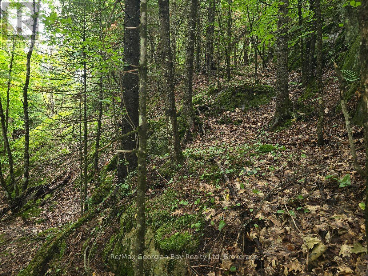 107 Balsam Chutes Road, Huntsville, Ontario  P0B 1L0 - Photo 8 - X13617186