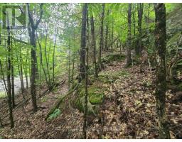 107 BALSAM CHUTES ROAD, Huntsville, Ontario