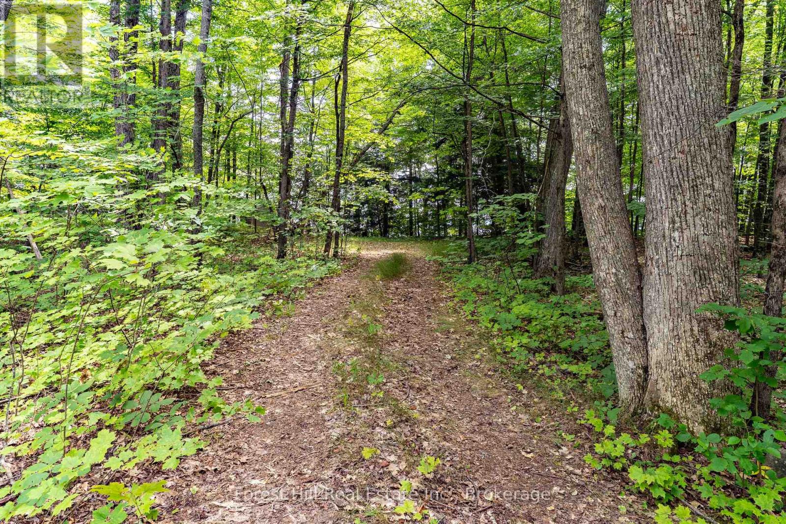 191 Long Point Road, Huntsville, Ontario  P0B 1M0 - Photo 14 - X13618578