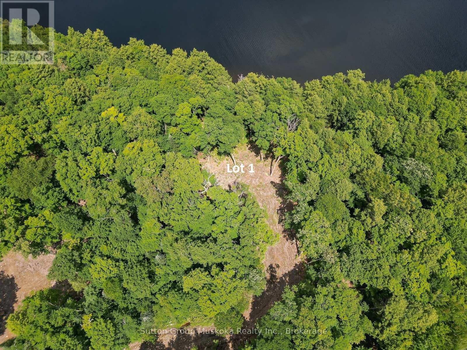 Lot 1 Esig Lane, Lake Of Bays, Ontario  P1H 2J6 - Photo 11 - X13620456