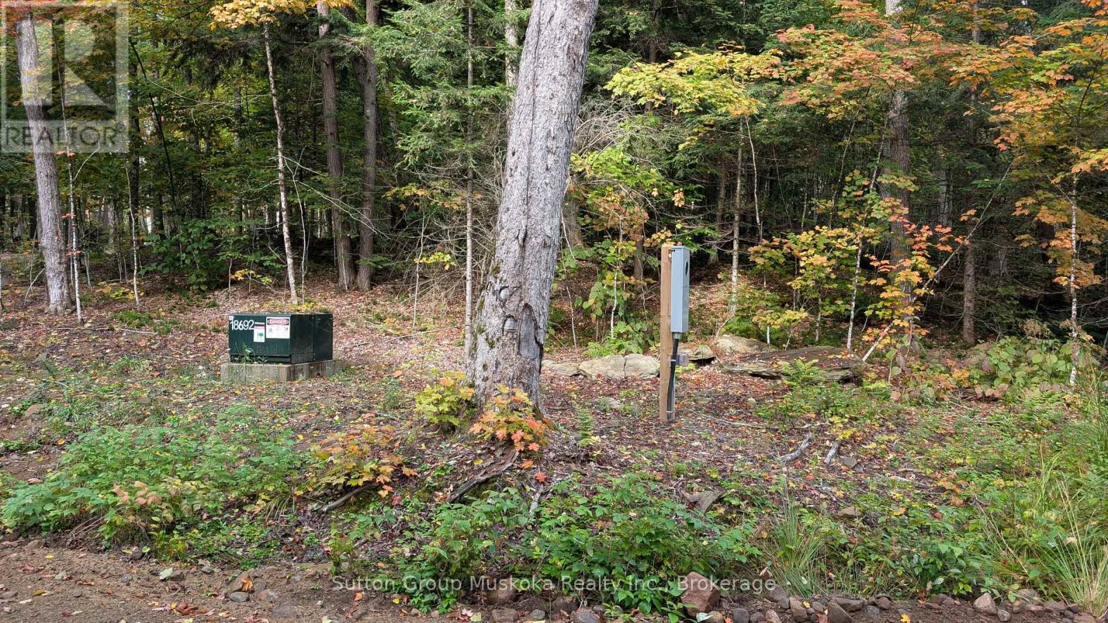 Lot 1 Esig Lane, Lake Of Bays, Ontario  P1H 2J6 - Photo 15 - X13620456