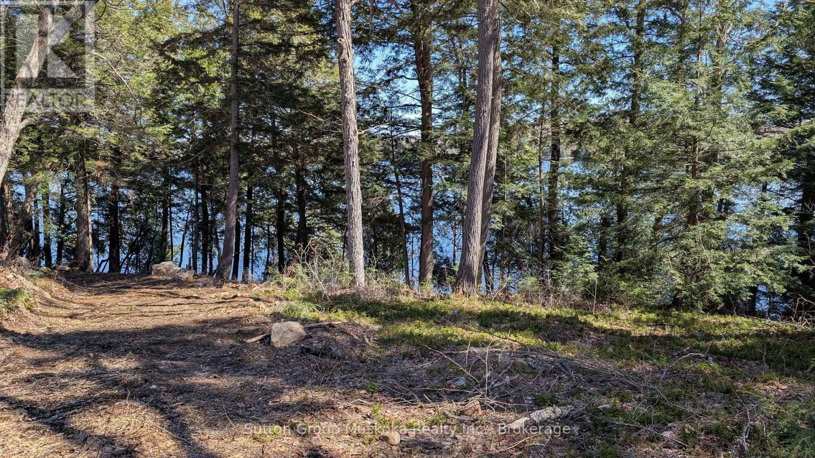 Lot 1 Esig Lane, Lake Of Bays, Ontario  P1H 2J6 - Photo 3 - X13620456