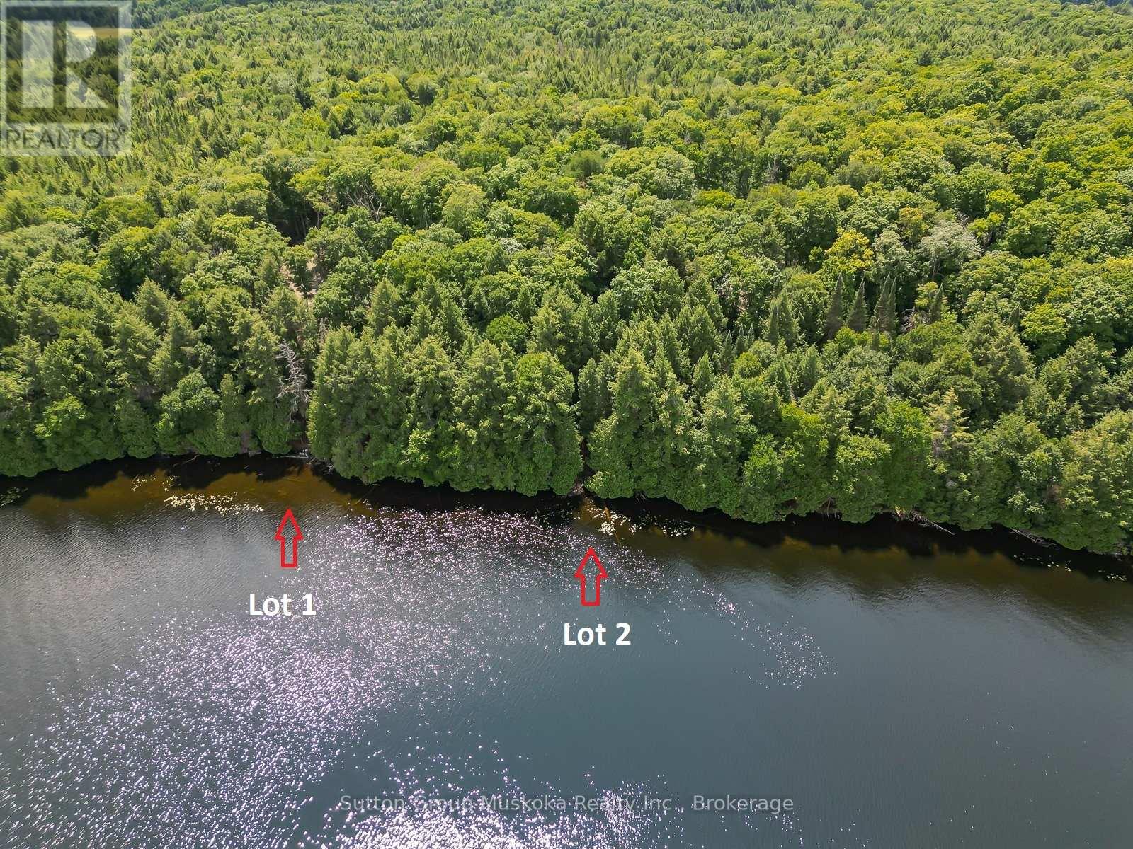 Lot 1 Esig Lane, Lake Of Bays, Ontario  P1H 2J6 - Photo 4 - X13620456