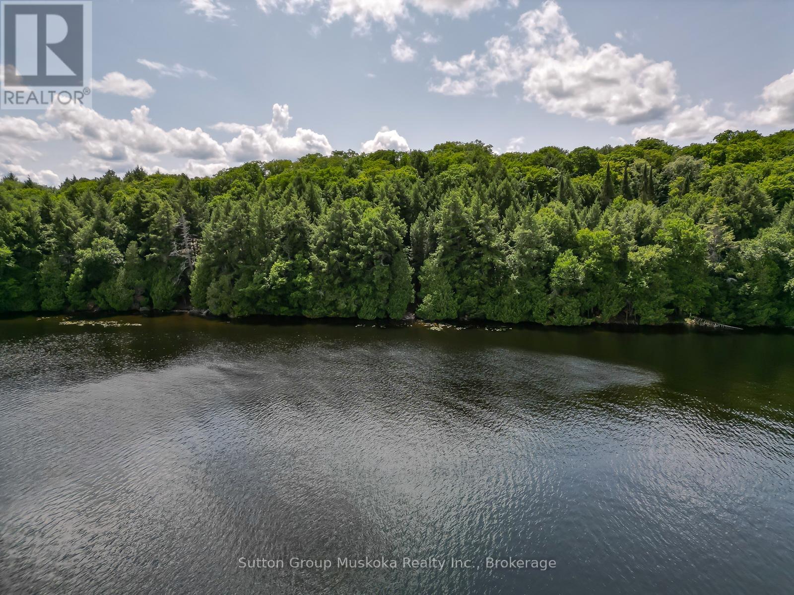 Lot 1 Esig Lane, Lake Of Bays, Ontario  P1H 2J6 - Photo 5 - X13620456