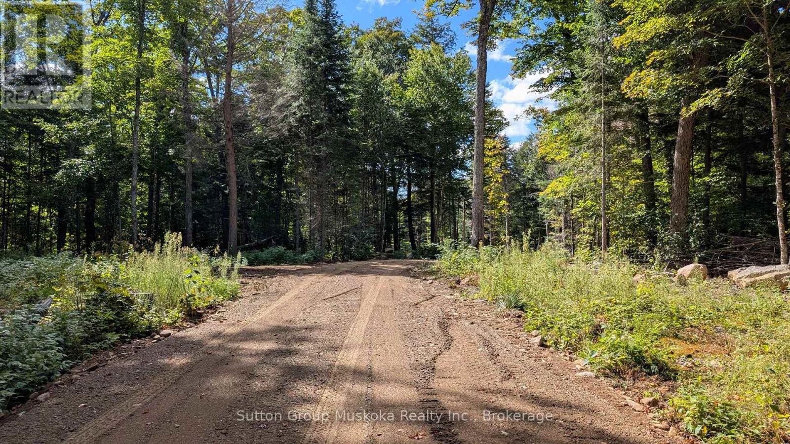 Lot 2 Esig Lane, Lake Of Bays, Ontario  P1H 2J6 - Photo 14 - X13620488