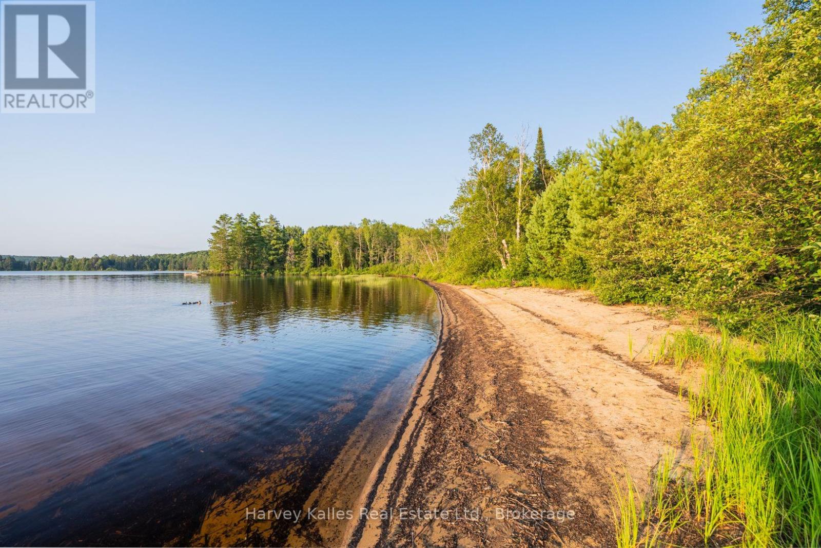 4154 & 4191 Ravenscliffe Road, Huntsville, Ontario  P1H 2J2 - Photo 1 - X13622164