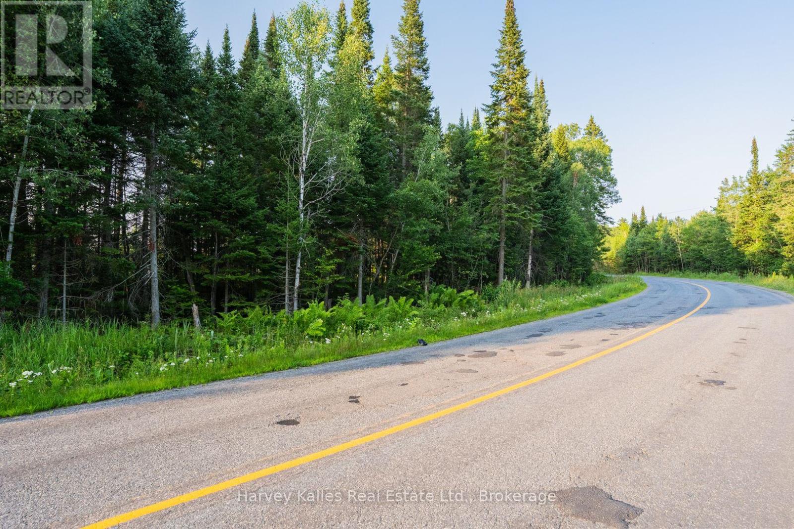 4154 & 4191 Ravenscliffe Road, Huntsville, Ontario  P1H 2J2 - Photo 5 - X13622164