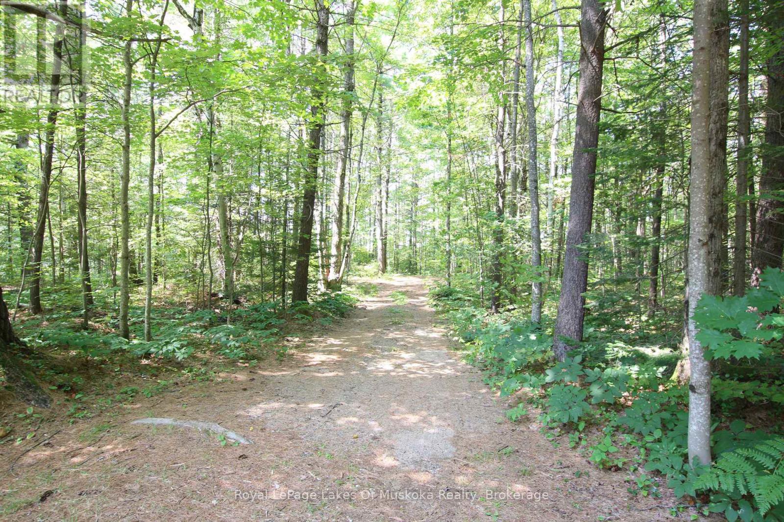 1101 Langford Road, Lake Of Bays, Ontario  P0B 1A0 - Photo 35 - X13625266