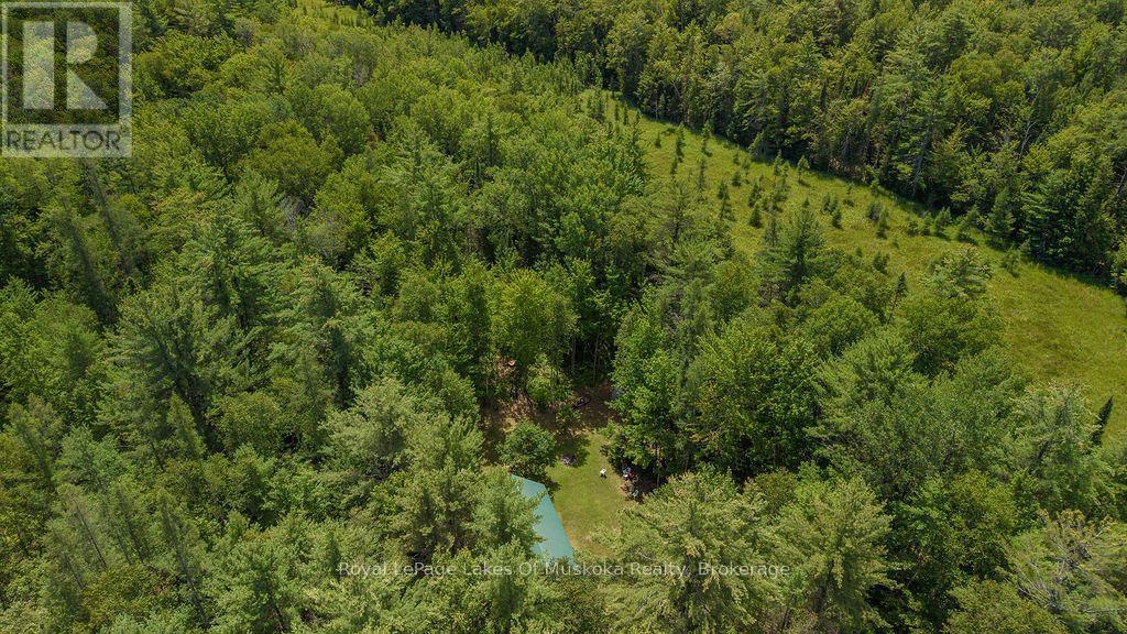 1101 Langford Road, Lake Of Bays, Ontario  P0B 1A0 - Photo 8 - X13625266