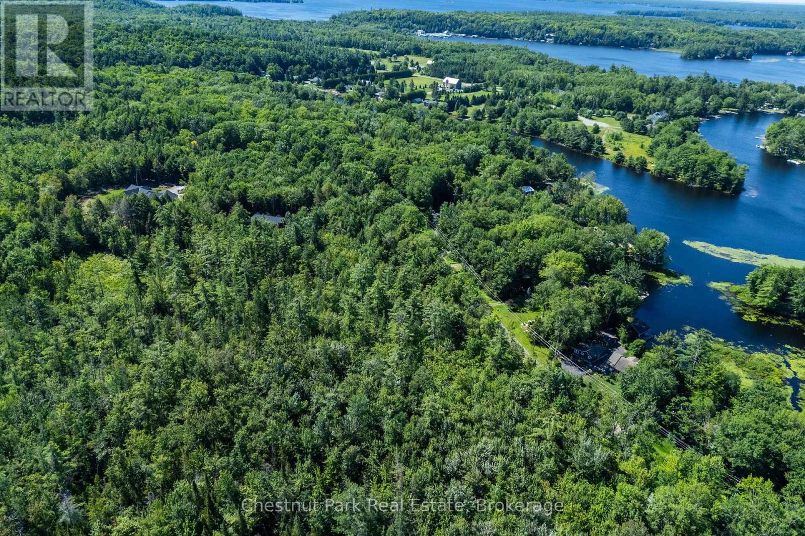 1461 Golden Beach Road, Bracebridge, Ontario P1L 1W8 - Photo 11 - X13627546