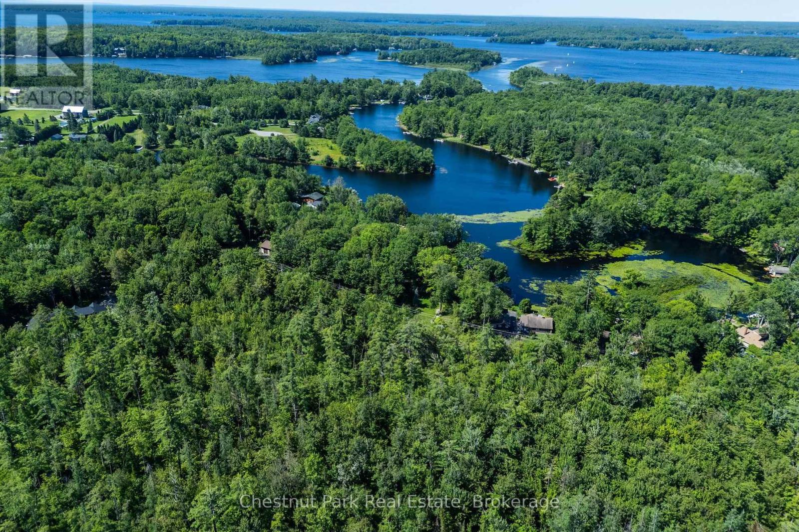 1461 Golden Beach Road, Bracebridge, Ontario P1L 1W8 - Photo 12 - X13627546