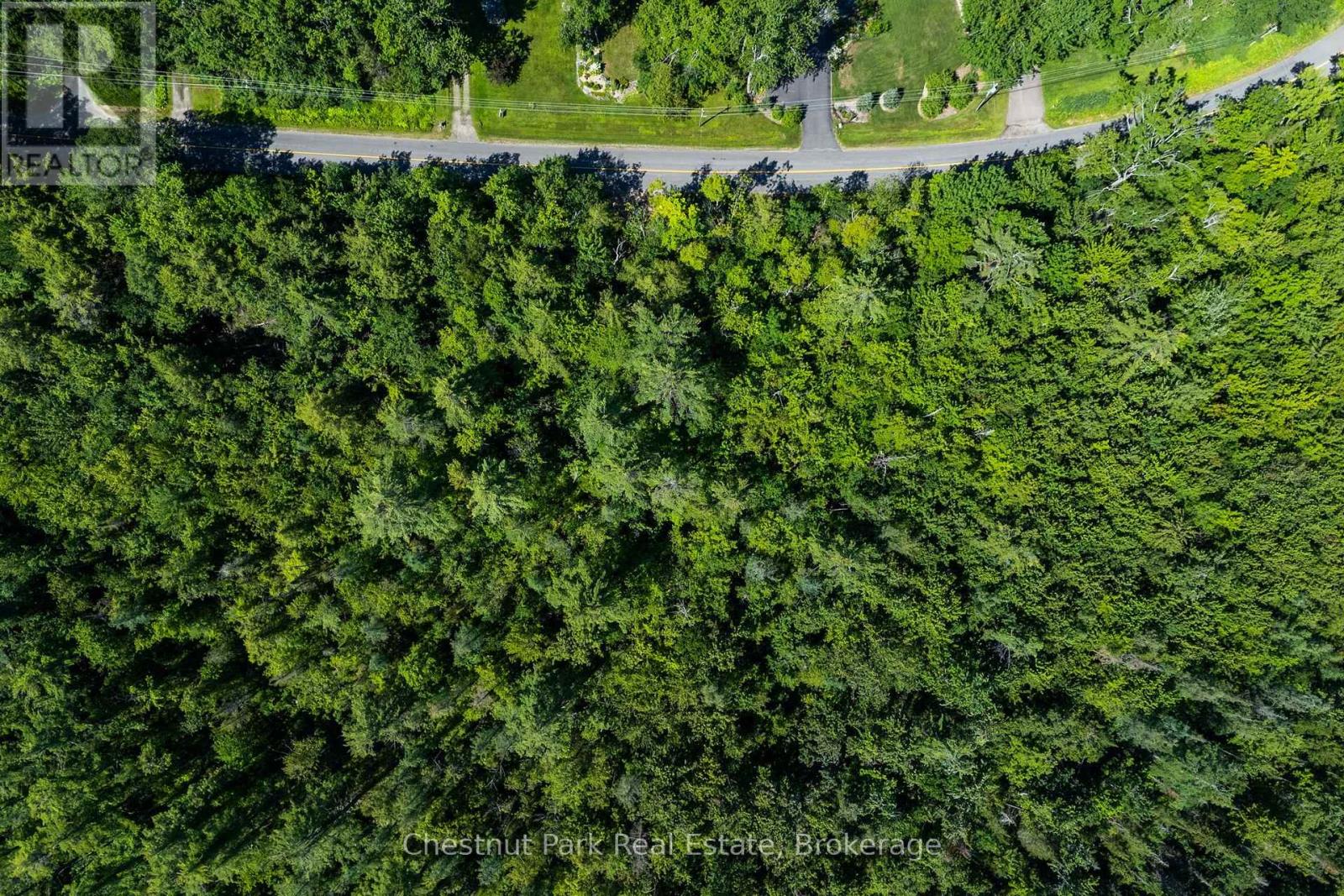 1461 Golden Beach Road, Bracebridge, Ontario P1L 1W8 - Photo 14 - X13627546