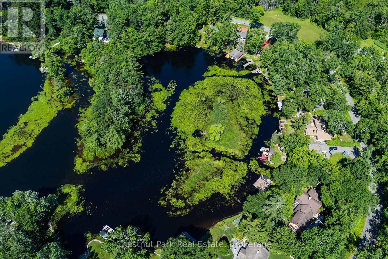 1461 Golden Beach Road, Bracebridge, Ontario P1L 1W8 - Photo 16 - X13627546