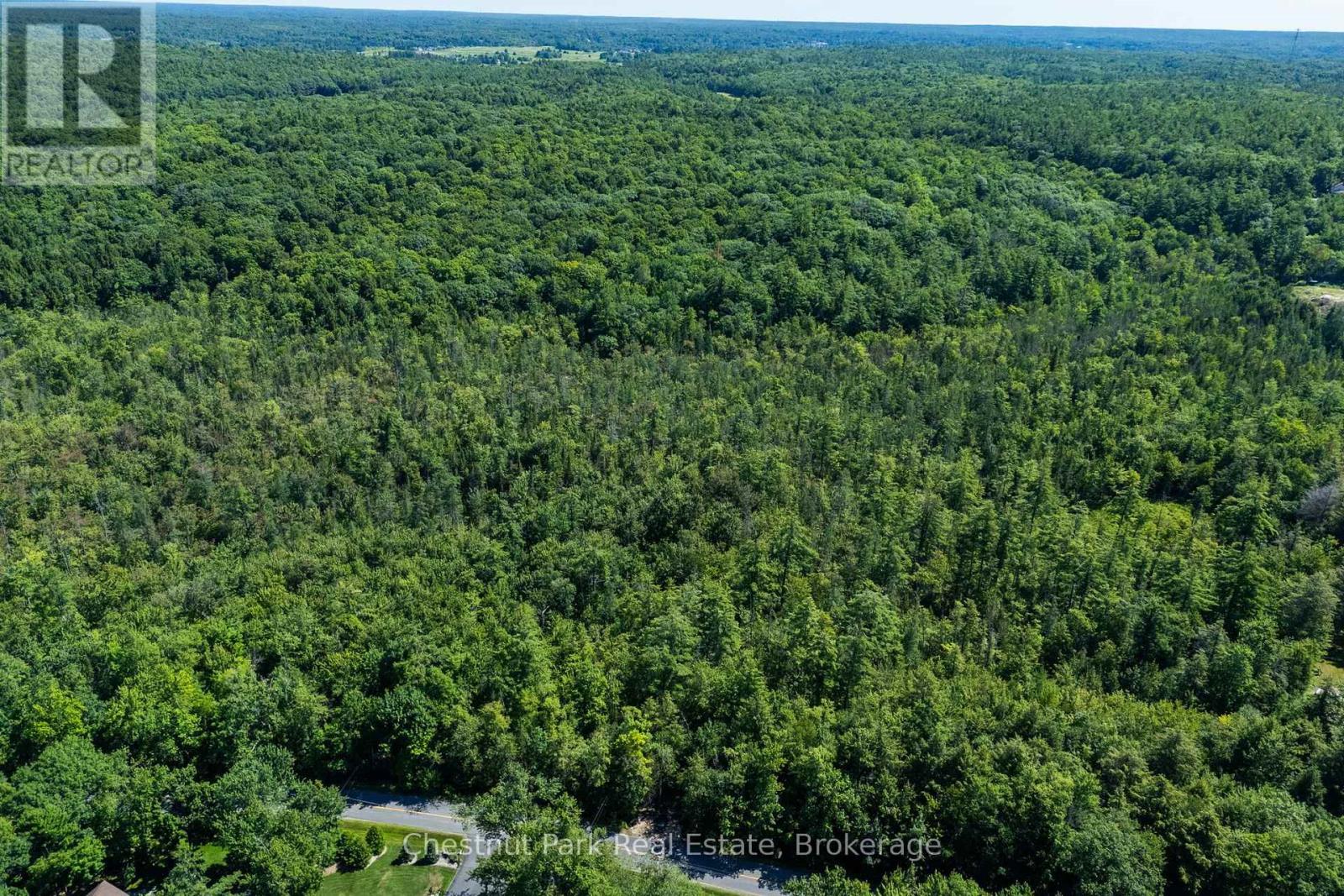 1461 Golden Beach Road, Bracebridge, Ontario P1L 1W8 - Photo 18 - X13627546