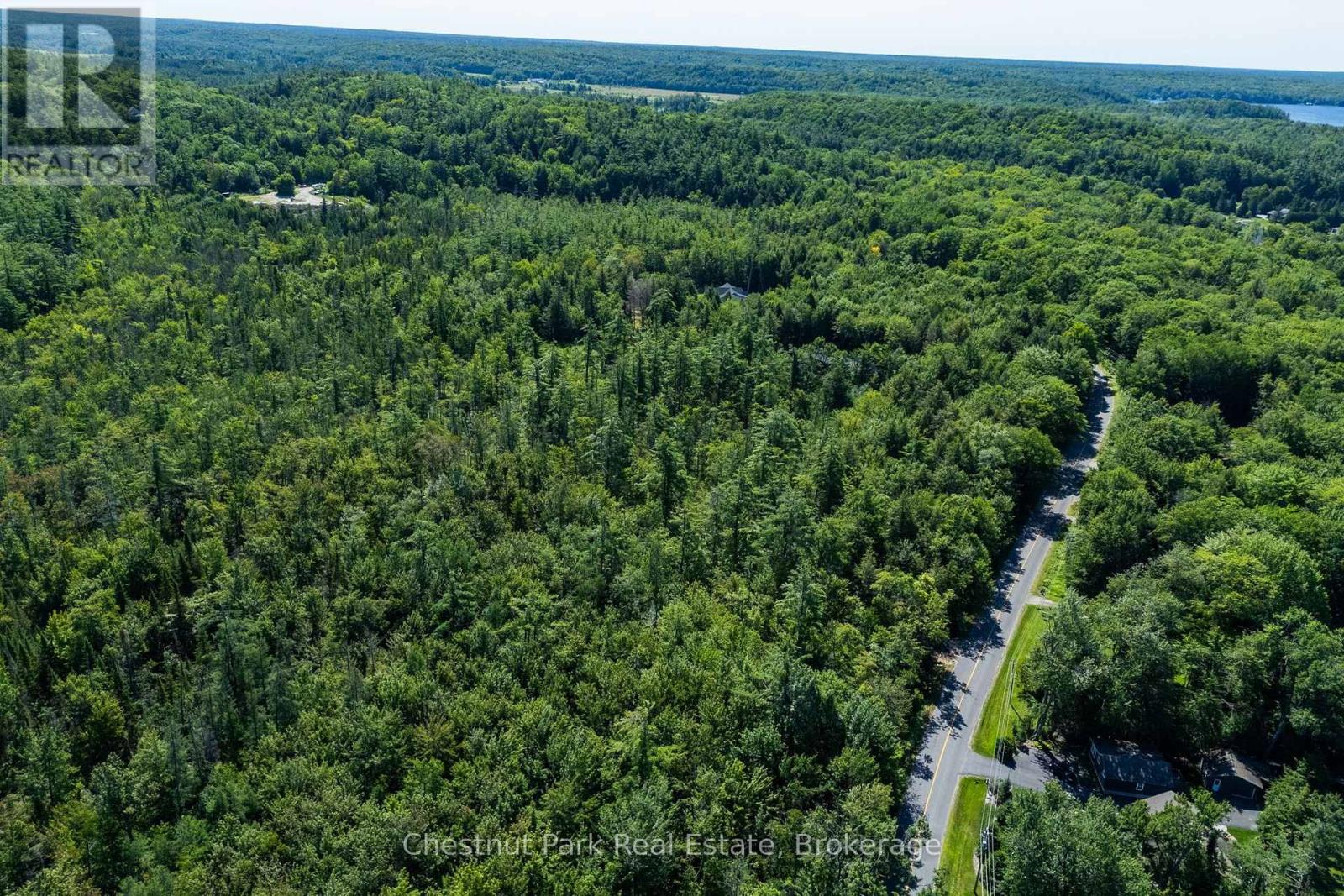 1461 Golden Beach Road, Bracebridge, Ontario P1L 1W8 - Photo 19 - X13627546