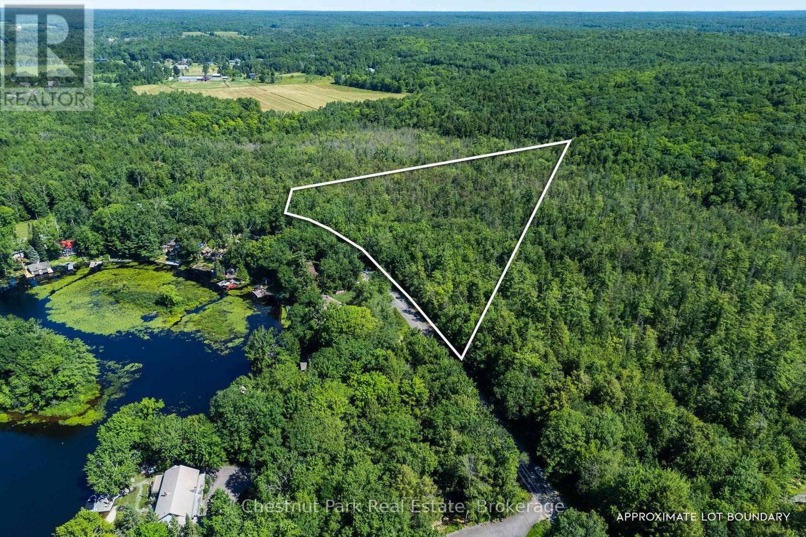 1461 Golden Beach Road, Bracebridge, Ontario P1L 1W8 - Photo 3 - X13627546