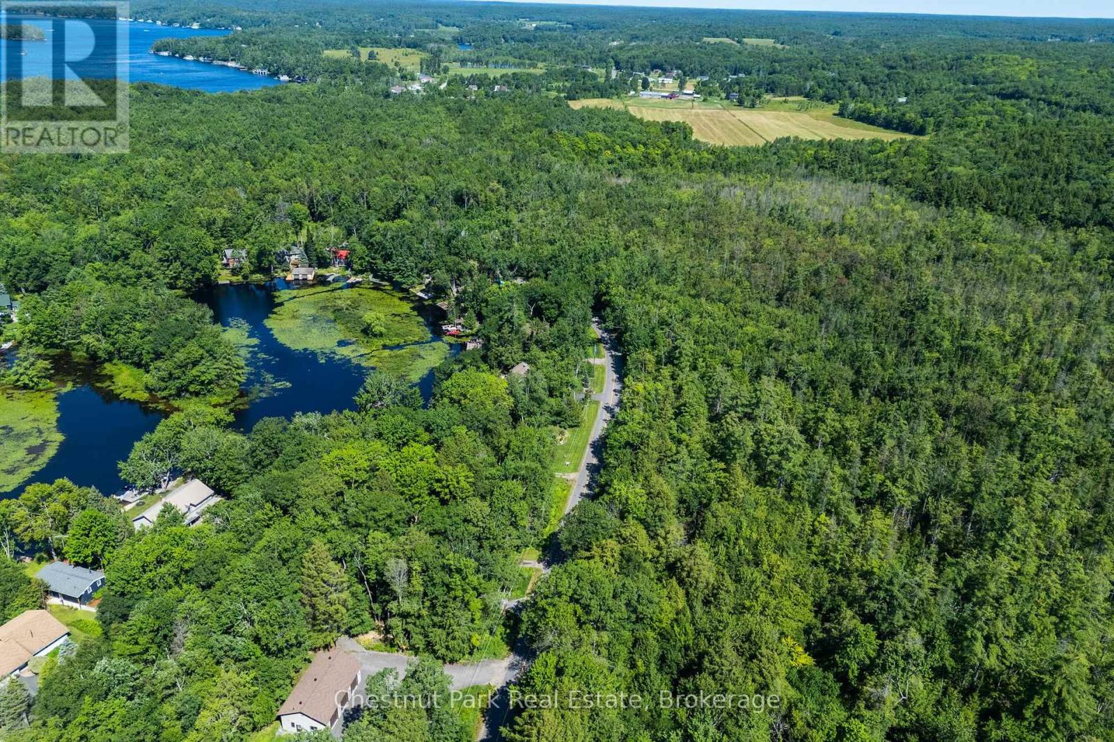 1461 Golden Beach Road, Bracebridge, Ontario P1L 1W8 - Photo 4 - X13627546
