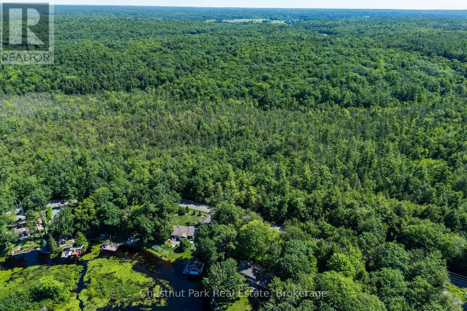 1461 Golden Beach Road, Bracebridge, Ontario P1L 1W8 - Photo 5 - X13627546
