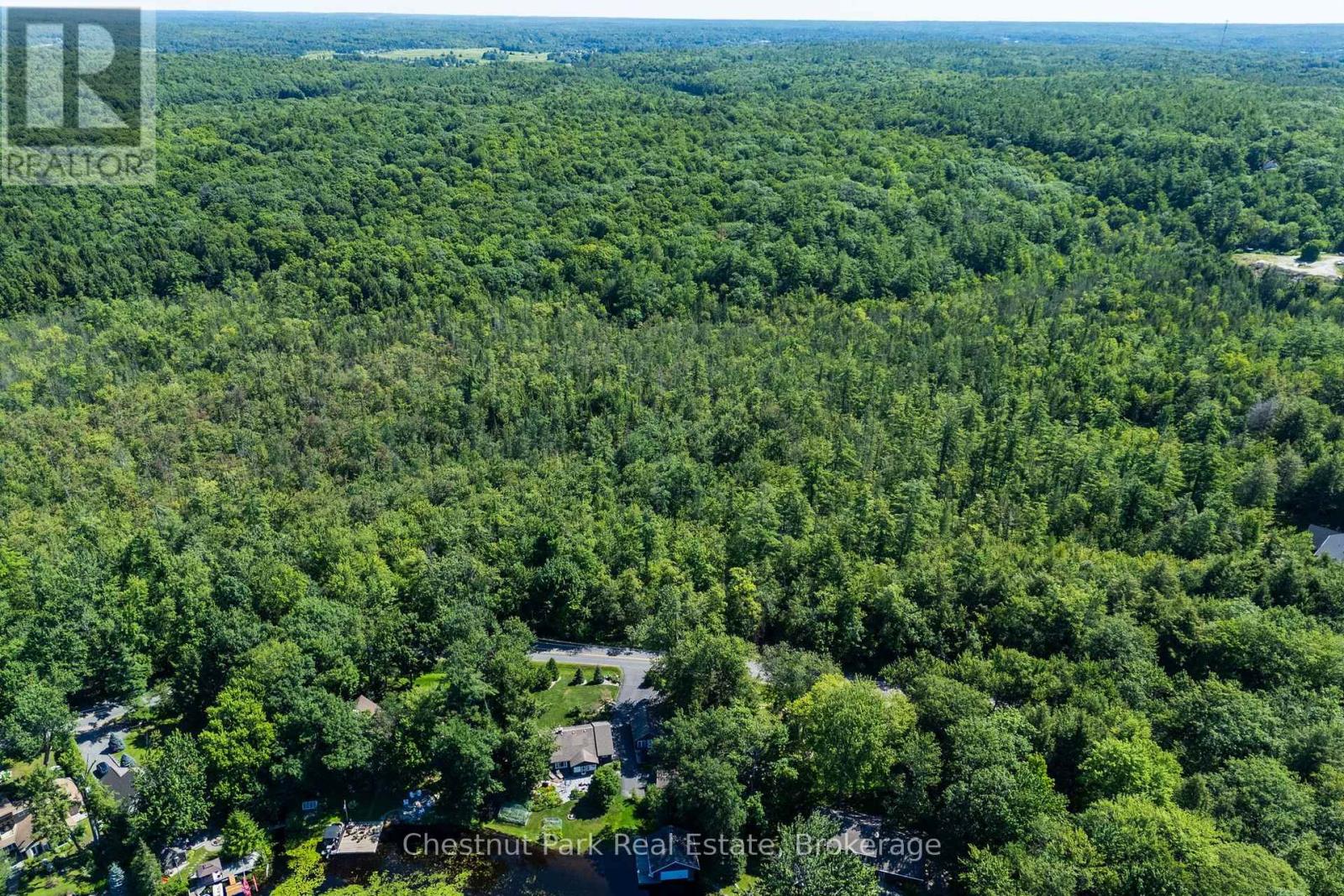 1461 Golden Beach Road, Bracebridge, Ontario P1L 1W8 - Photo 6 - X13627546