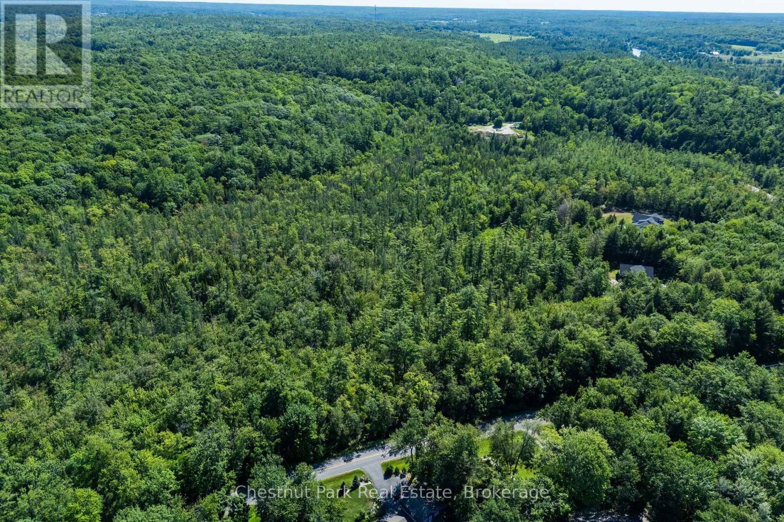 1461 Golden Beach Road, Bracebridge, Ontario P1L 1W8 - Photo 7 - X13627546