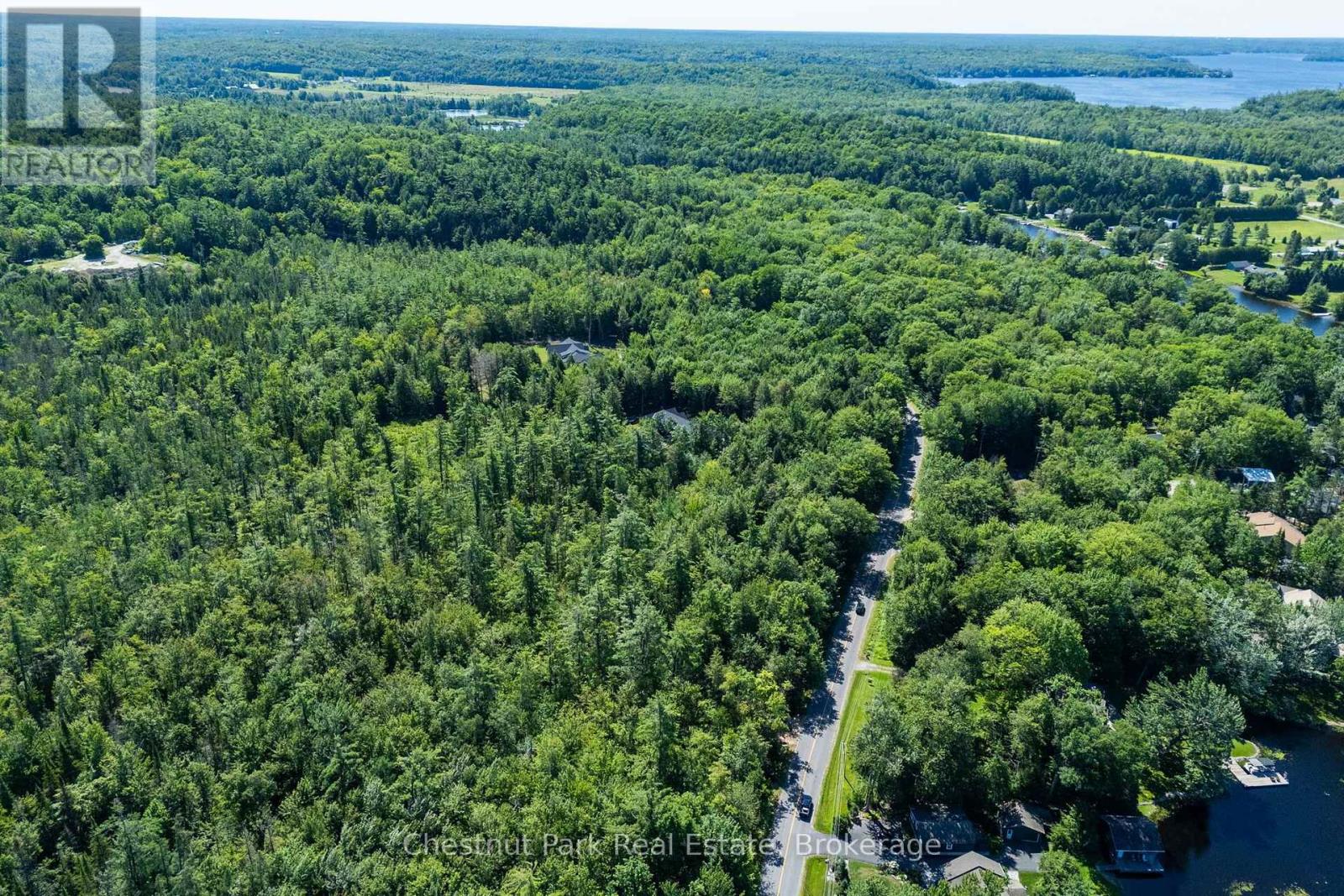 1461 Golden Beach Road, Bracebridge, Ontario P1L 1W8 - Photo 8 - X13627546