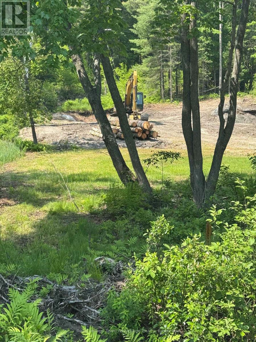 98 Louisa Street, Parry Sound, Ontario P2A 3C1 - Photo 5 - X13636056