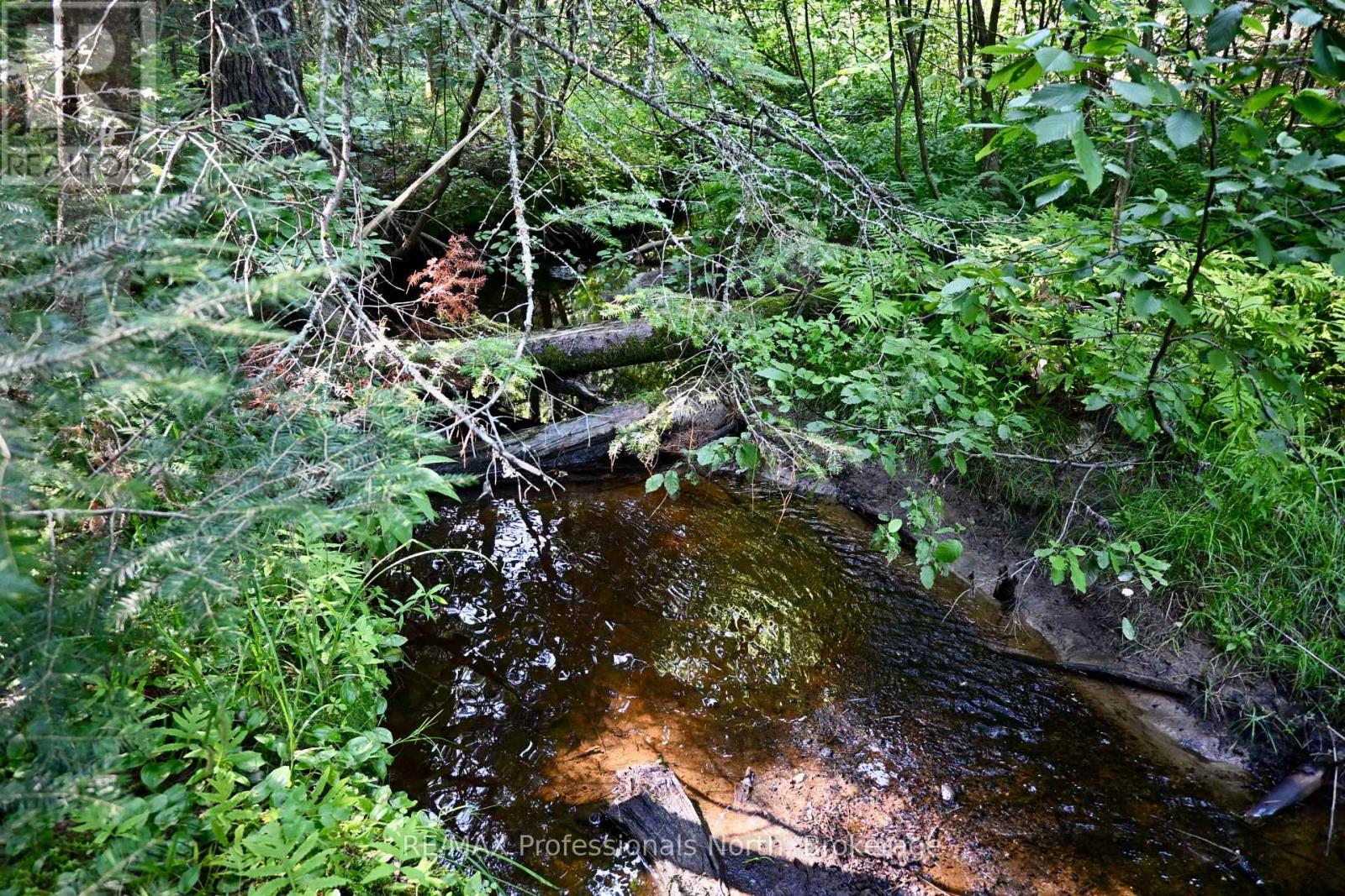 242 Deer Lake Road, Huntsville, Ontario P0B 1L0 - Photo 45 - X13638062