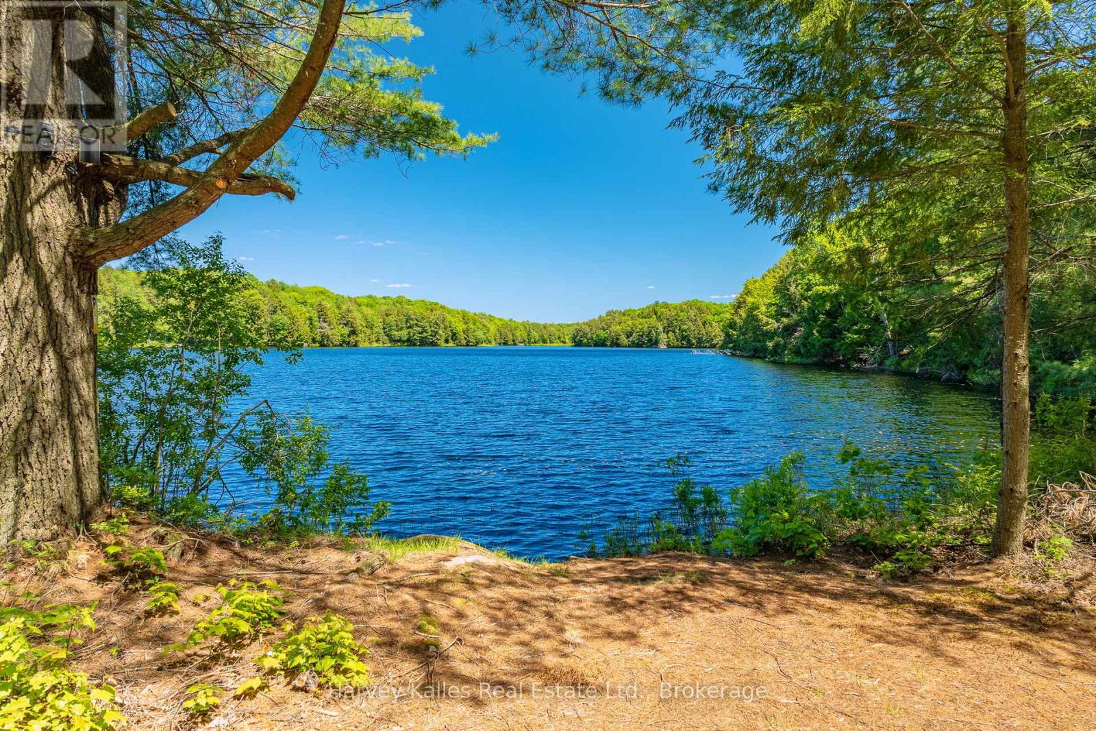 643b Highway 632, Seguin, Ontario P2A 2W8 - Photo 1 - X13641000