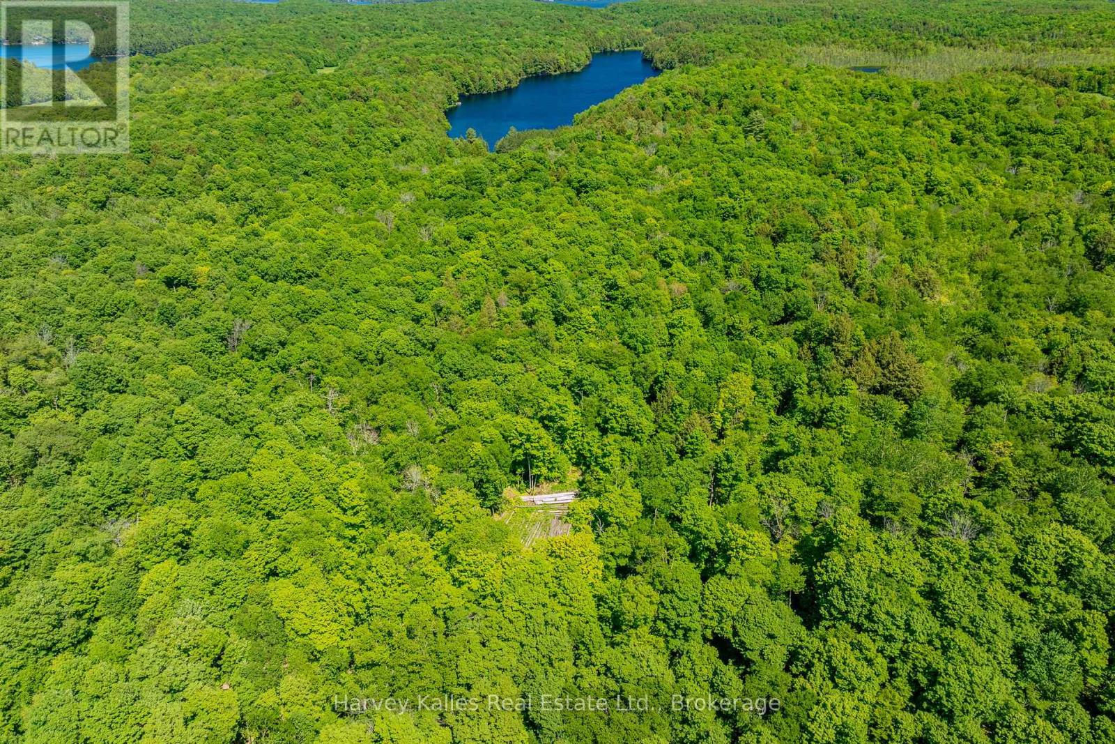 643b Highway 632, Seguin, Ontario P2A 2W8 - Photo 16 - X13641000