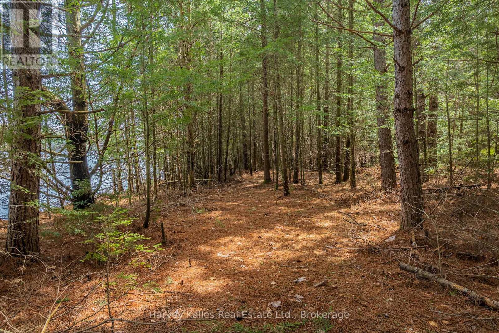 643b Highway 632, Seguin, Ontario P2A 2W8 - Photo 17 - X13641000