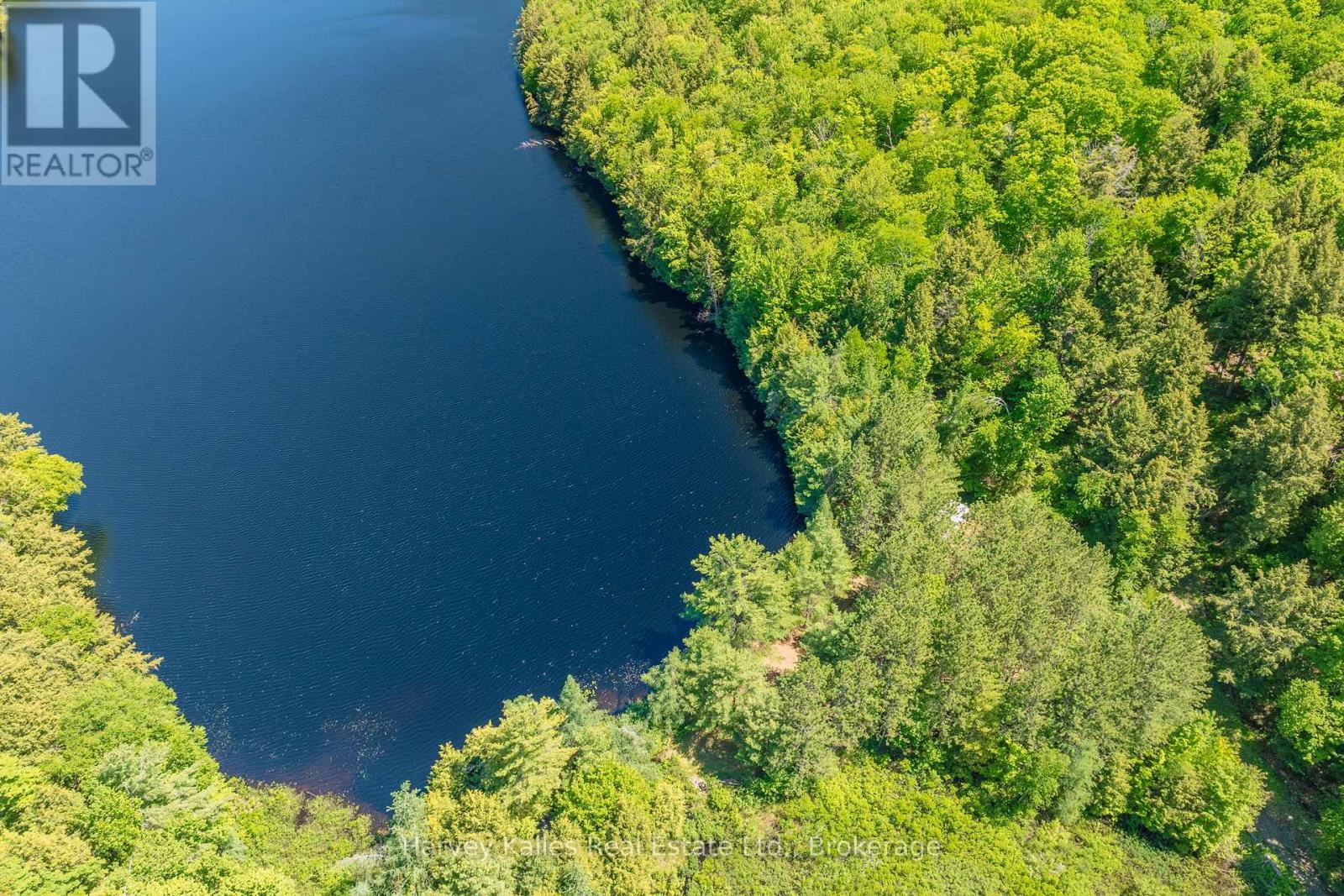 643b Highway 632, Seguin, Ontario P2A 2W8 - Photo 6 - X13641000