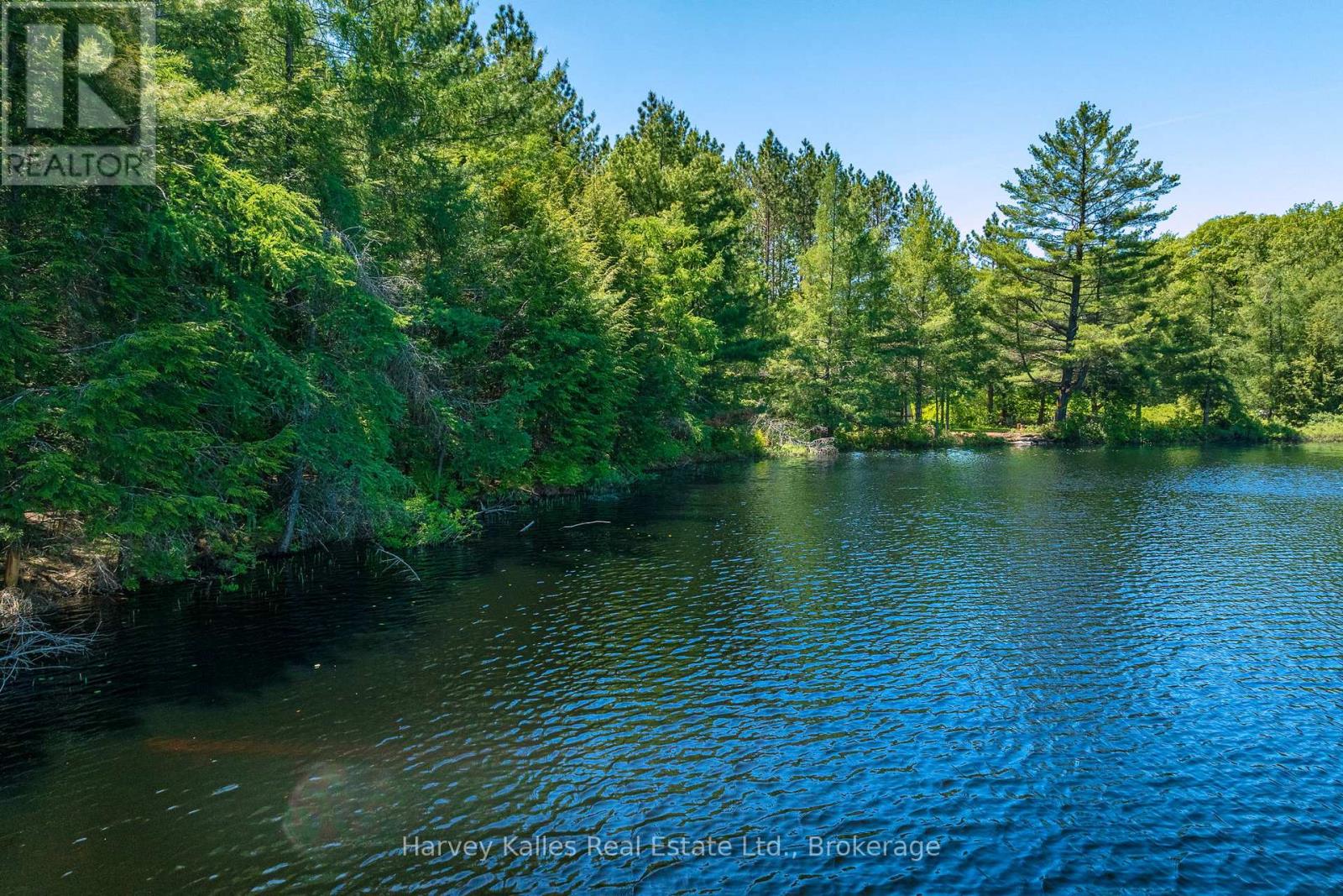 643b Highway 632, Seguin, Ontario P2A 2W8 - Photo 9 - X13641000