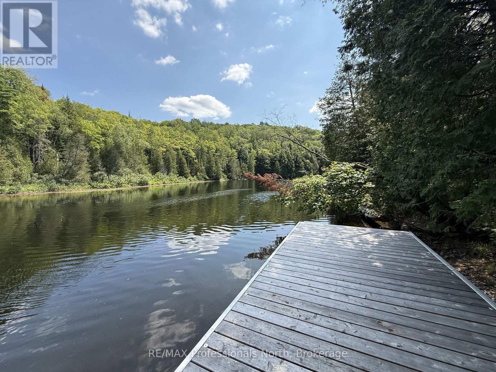 1125 Fairy Falls Road, Lake Of Bays, Ontario  P0B 1A0 - Photo 9 - X13641698