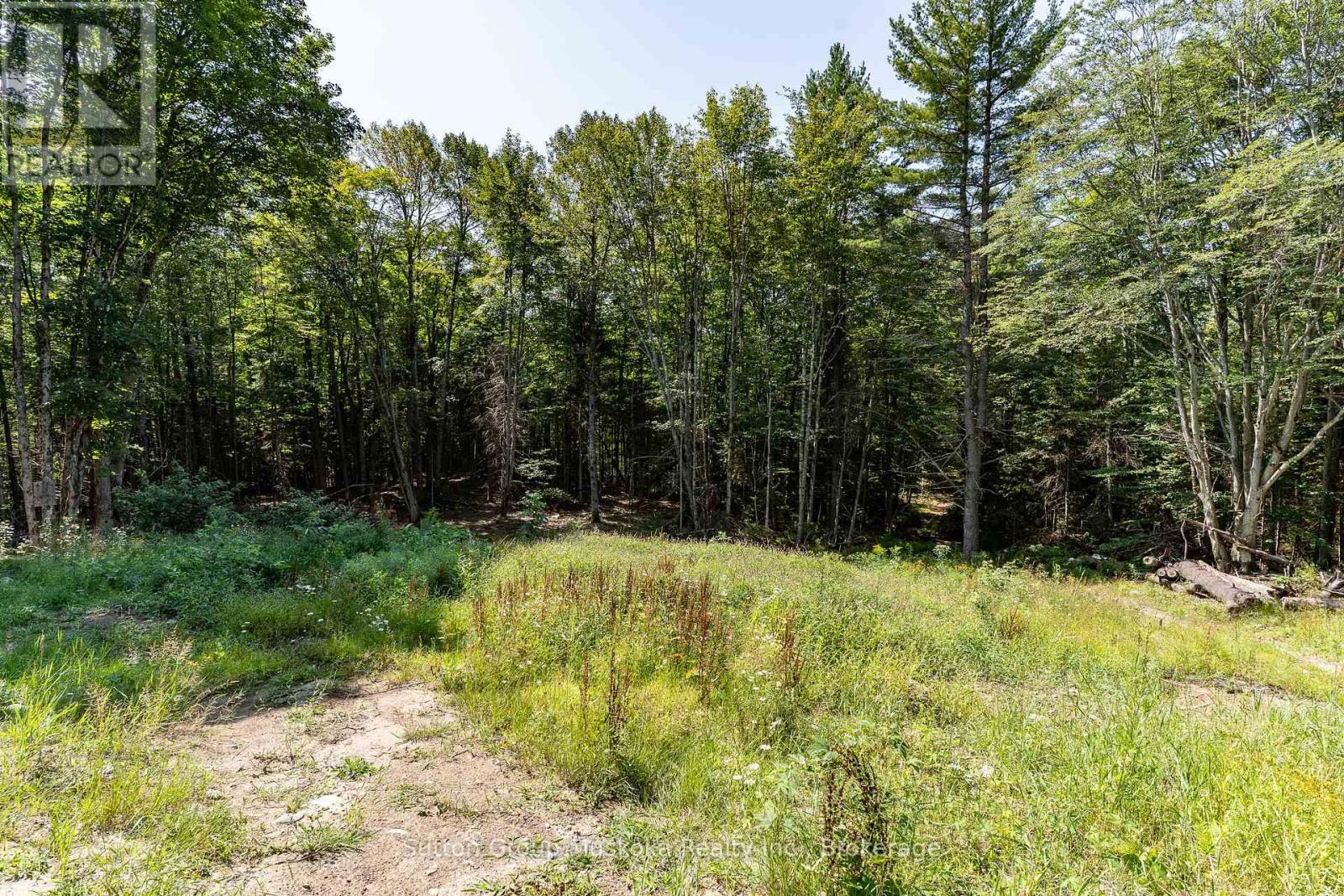 1265 Britannia Road, Huntsville, Ontario P1H 2J3 - Photo 42 - X13646084