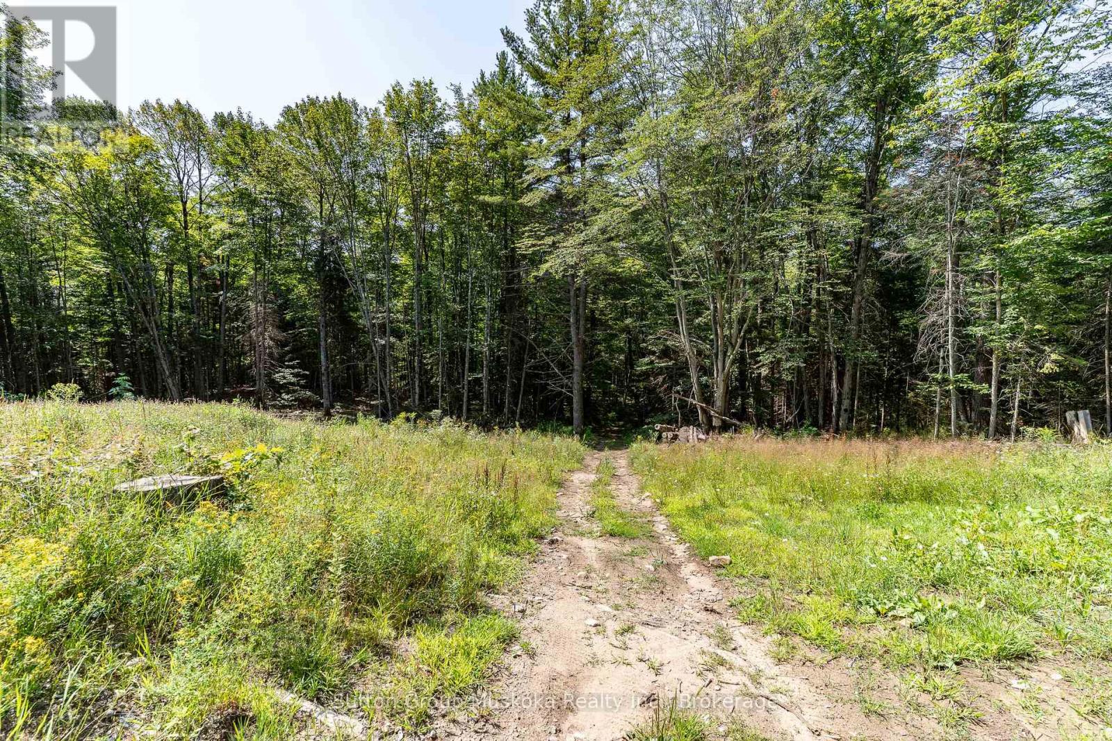 1265 Britannia Road, Huntsville, Ontario P1H 2J3 - Photo 43 - X13646084