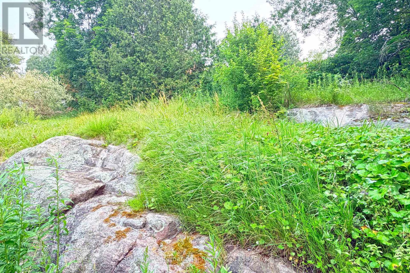 12a Valley Drive, Bracebridge, Ontario P1L 1B8 - Photo 25 - X13660714