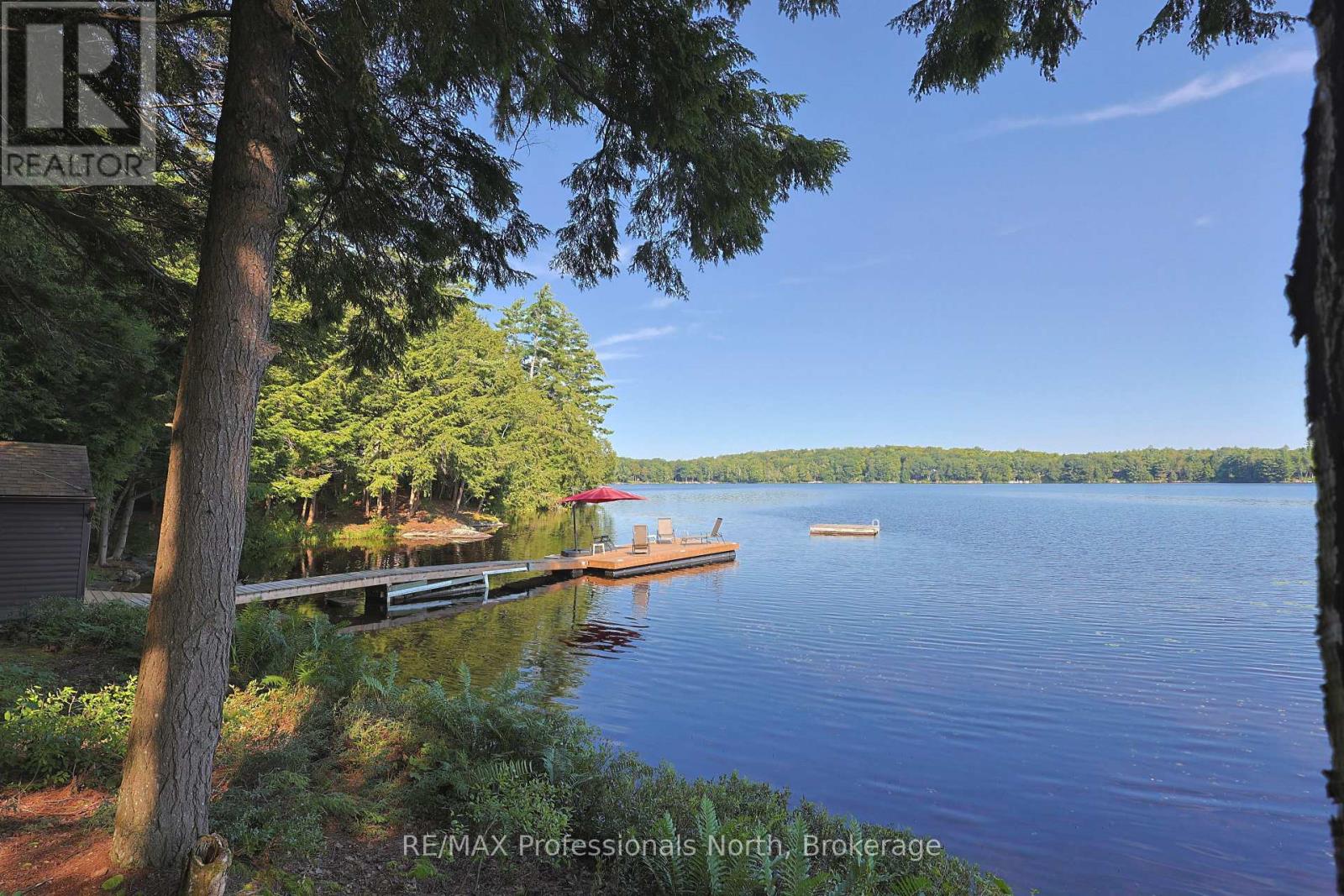 1365 Dickie Lake Road, Lake Of Bays, Ontario  P0B 1A0 - Photo 10 - X13673126