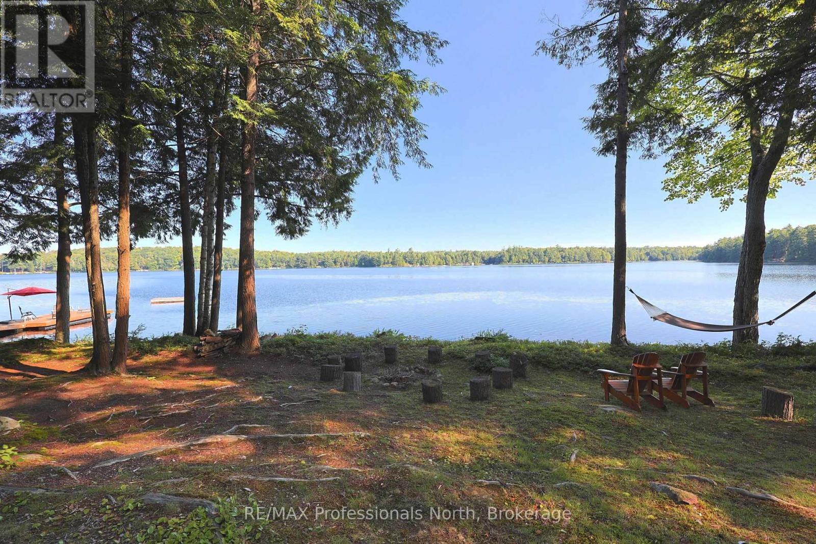 1365 Dickie Lake Road, Lake Of Bays, Ontario  P0B 1A0 - Photo 11 - X13673126