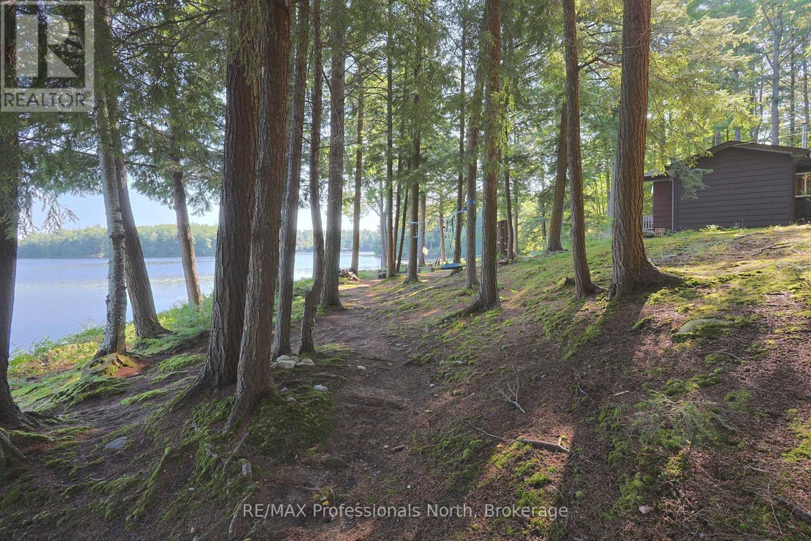 1365 Dickie Lake Road, Lake Of Bays, Ontario  P0B 1A0 - Photo 12 - X13673126