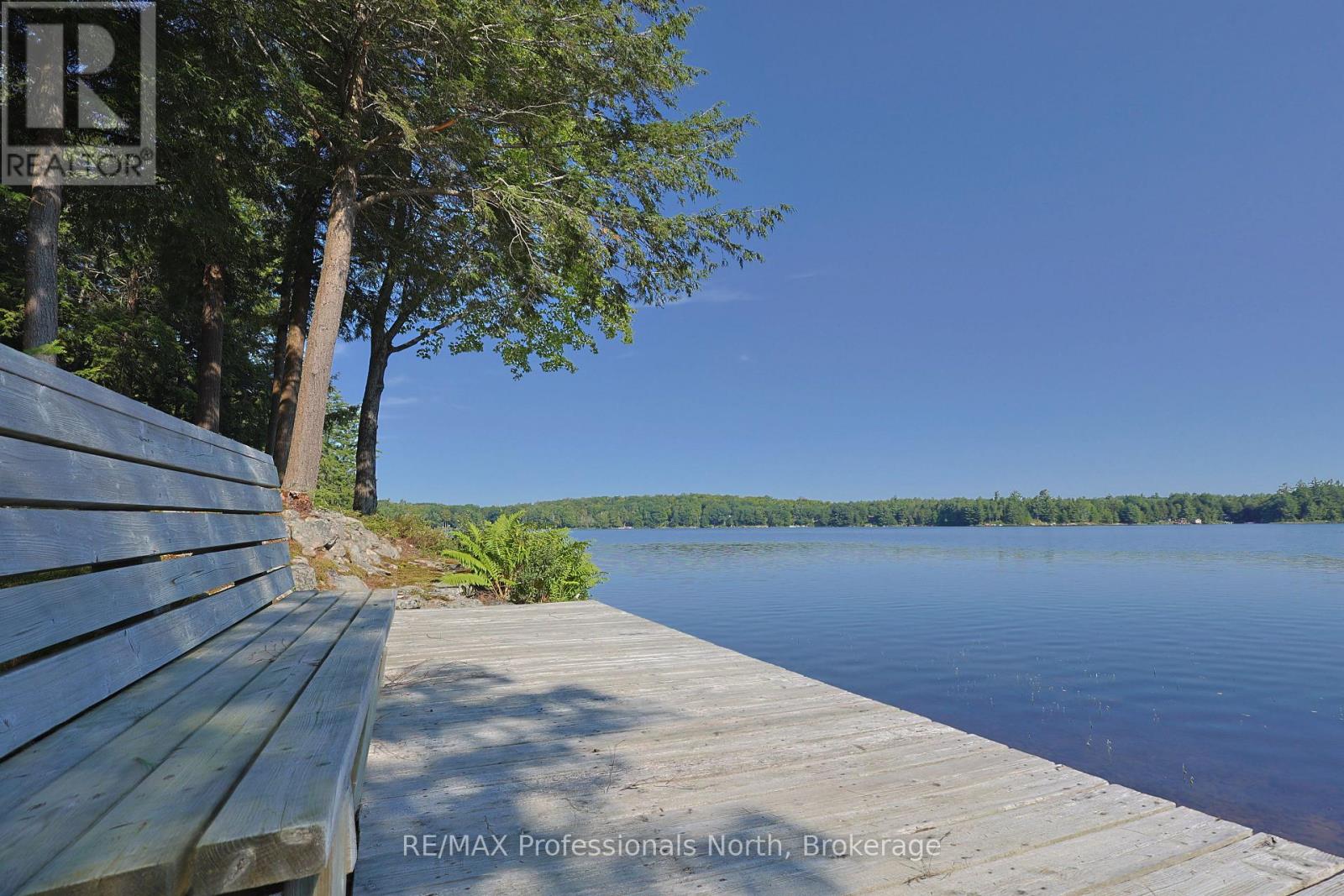 1365 Dickie Lake Road, Lake Of Bays, Ontario  P0B 1A0 - Photo 13 - X13673126