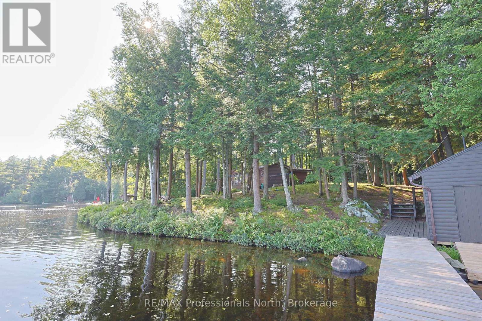 1365 Dickie Lake Road, Lake Of Bays, Ontario  P0B 1A0 - Photo 31 - X13673126