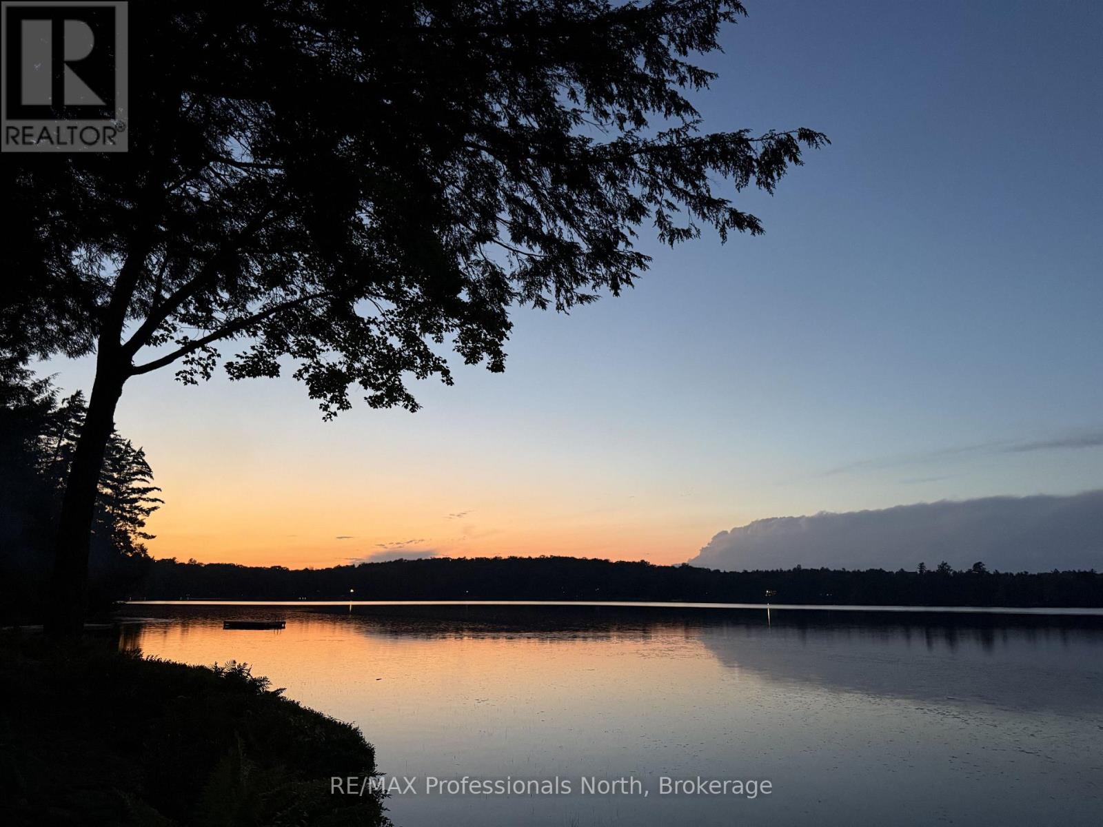 1365 Dickie Lake Road, Lake Of Bays, Ontario  P0B 1A0 - Photo 40 - X13673126