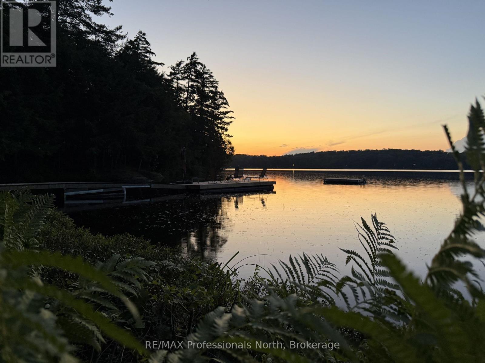 1365 Dickie Lake Road, Lake Of Bays, Ontario  P0B 1A0 - Photo 41 - X13673126