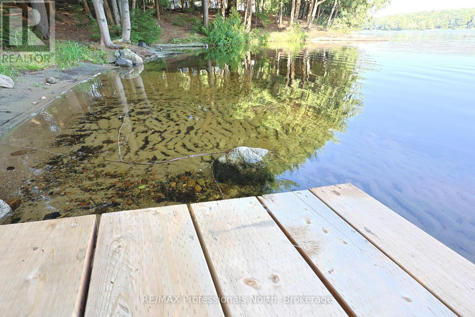 1365 Dickie Lake Road, Lake Of Bays, Ontario  P0B 1A0 - Photo 8 - X13673126